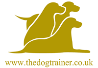 Kent Dog Training Kent Dog Behaviourist Norfolk Dog Training Norfolk Dog Behaviourist Sussex Dog Training Sussex Dog Behaviourist